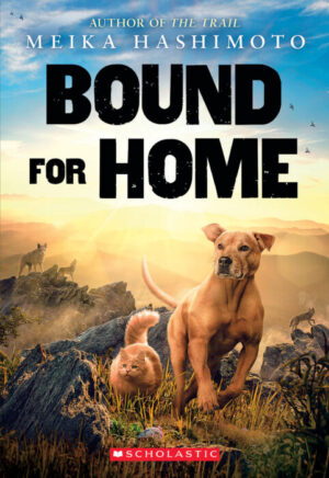 Bound For Home