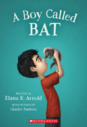 Boy Called Bat, A