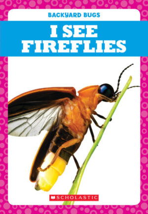 I See Fireflies